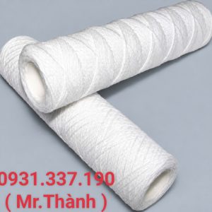 LÕI SỢI QUẤN 10 INCH 1 MICRON 